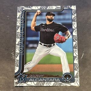 Sandy Alcantara Baseball Card